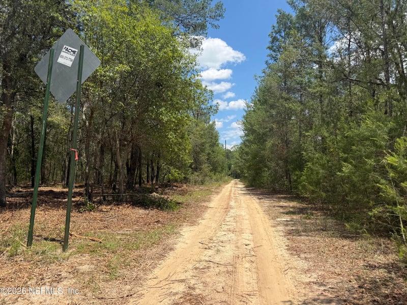 XXX County Road 315, Interlachen, FL 32148