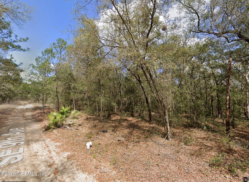106 9th St, Interlachen, FL 32148