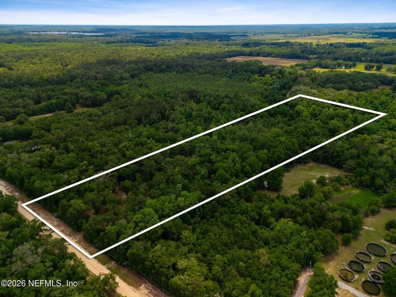 241 Indian Lakes Forest Rd, Florahome, FL 32140