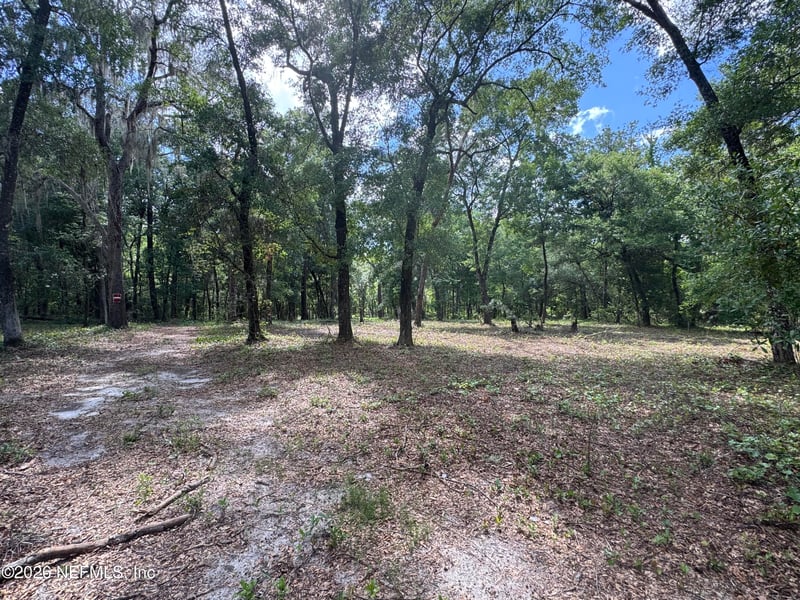 241 Indian Lakes Forest Rd, Florahome, FL 32140