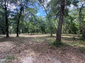 241 Indian Lakes Forest Rd, Florahome, FL 32140