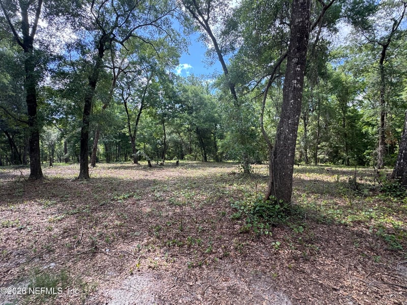 241 Indian Lakes Forest Rd, Florahome, FL 32140