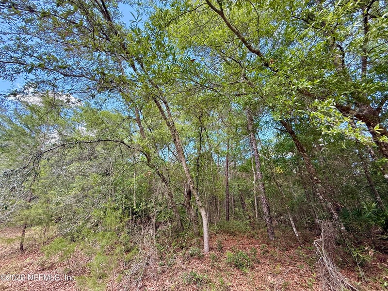 0140 Usina Ave, Interlachen, FL 32148