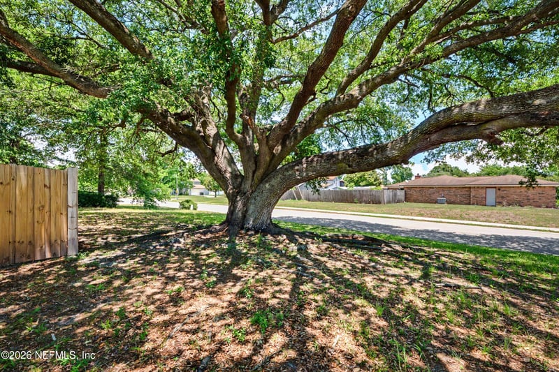 626 Charles Carrol St, Orange Park, FL 32073