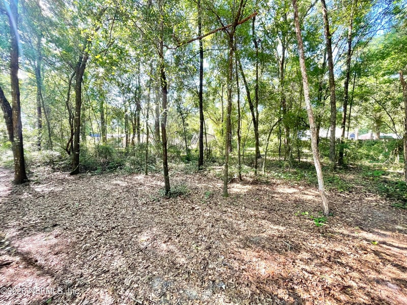 4583 Alligator Blvd, Middleburg, FL 32068