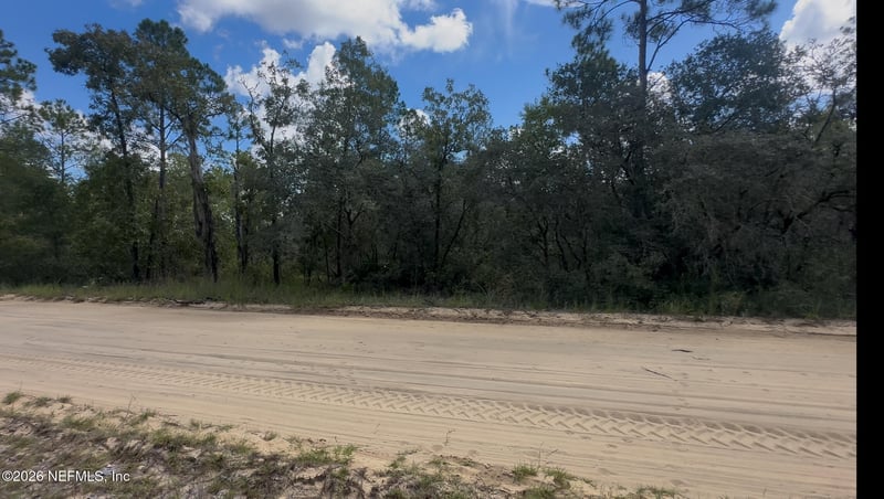 112 Brass St, Interlachen, FL 32148