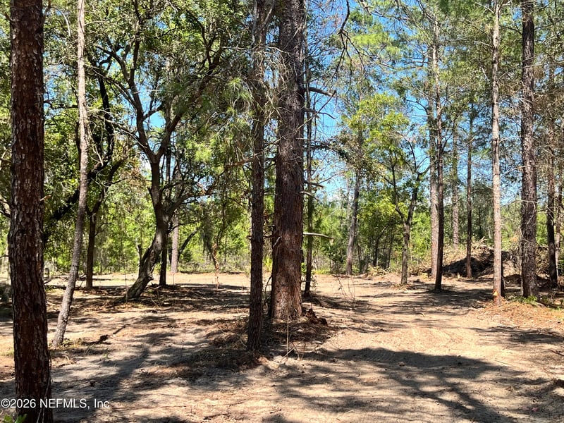 219 Magnolia Rd, Hawthorne, FL 32640