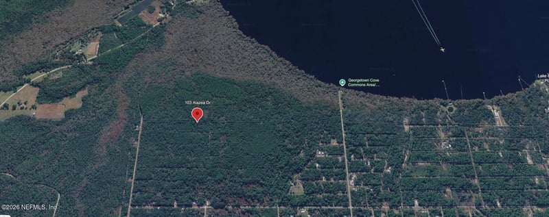 103 Azalea Dr, Georgetown, FL 32139