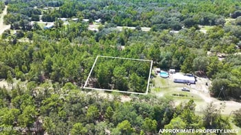 Lot 27 Neisman Ave, Interlachen, FL 32148