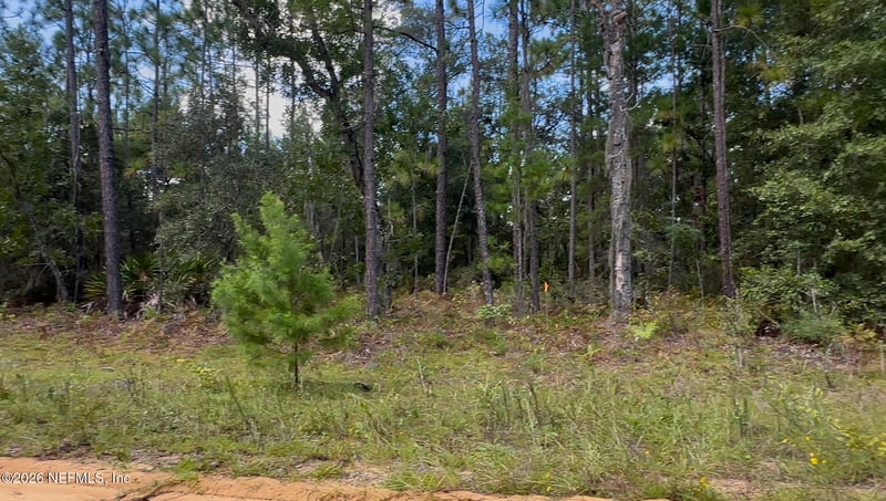 27 Neisman Avenue Lot 27, Interlachen, FL 32148
