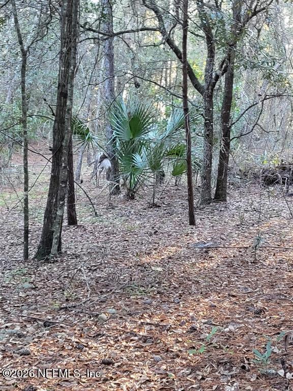 00 Beulah Church Rd, Crescent City, FL 32112