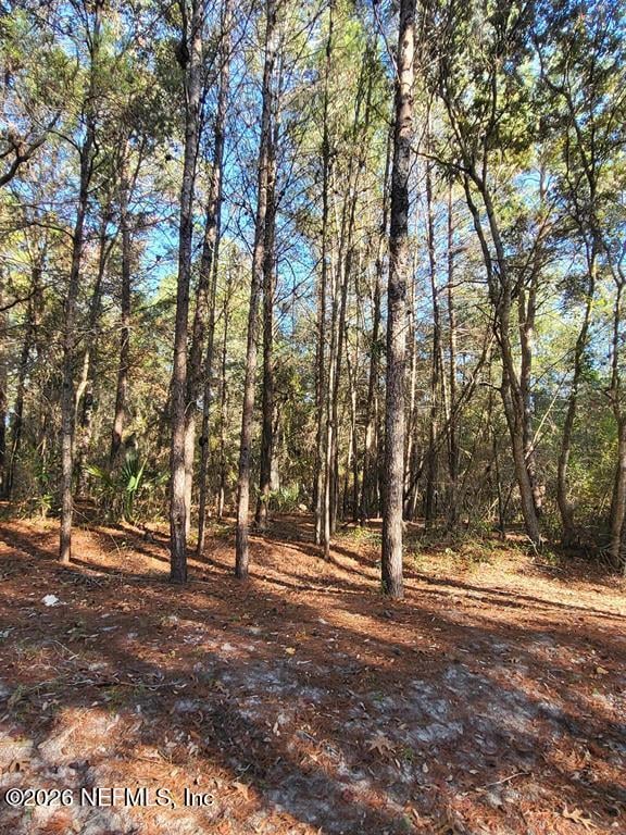 00 Beulah Church Rd, Crescent City, FL 32112