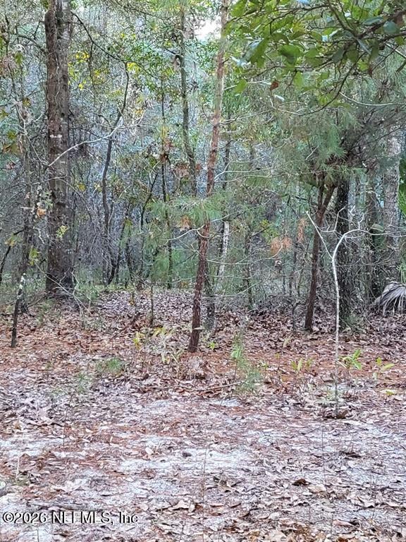 00 Beulah Church Rd, Crescent City, FL 32112