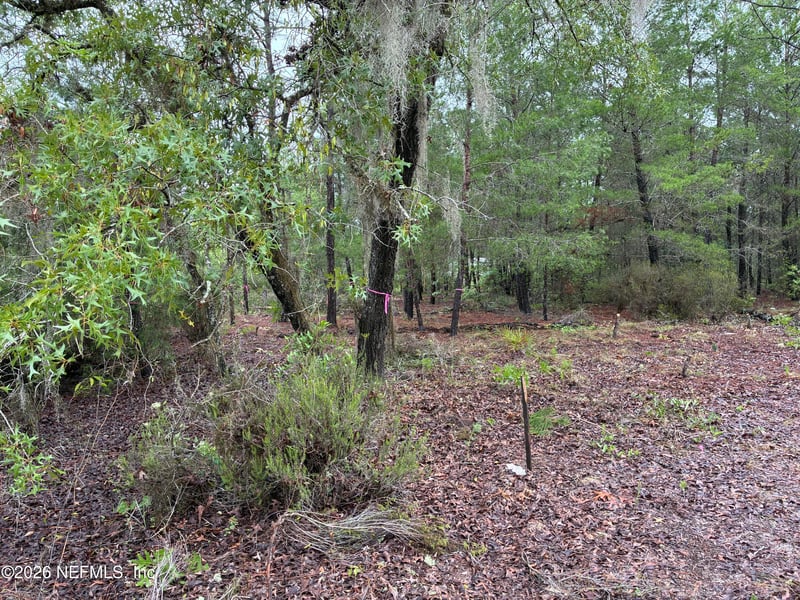 204 Glasgow St, Interlachen, FL 32148