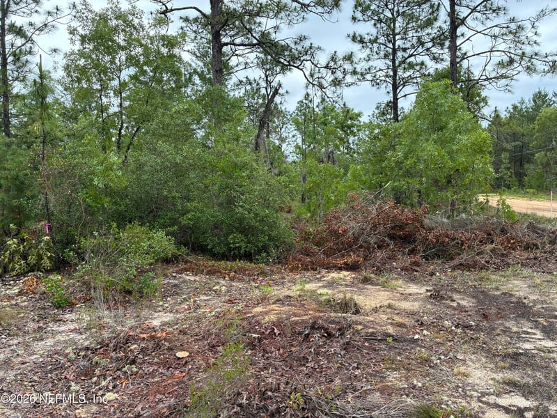204 Glasgow St, Interlachen, FL 32148