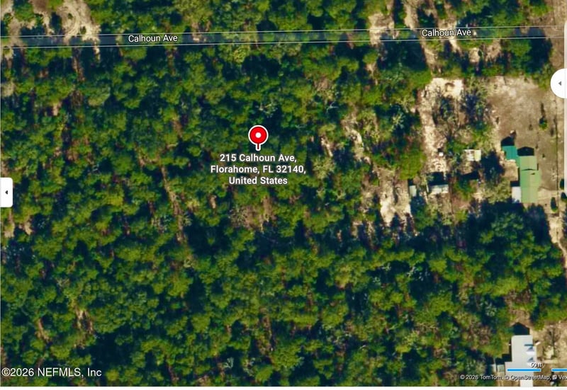 215 Calhoun Ave, Florahome, FL 32140