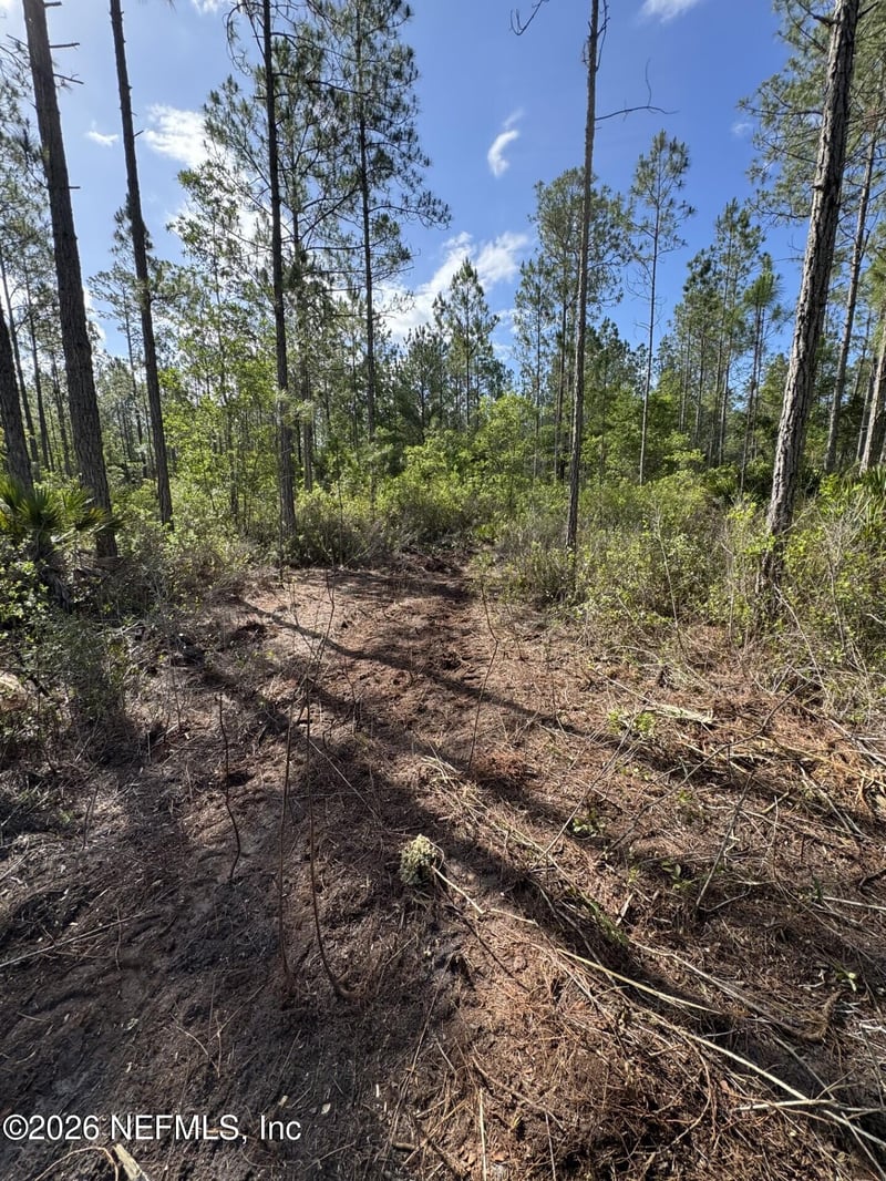 114 Womp Ln, Palatka, FL 32177
