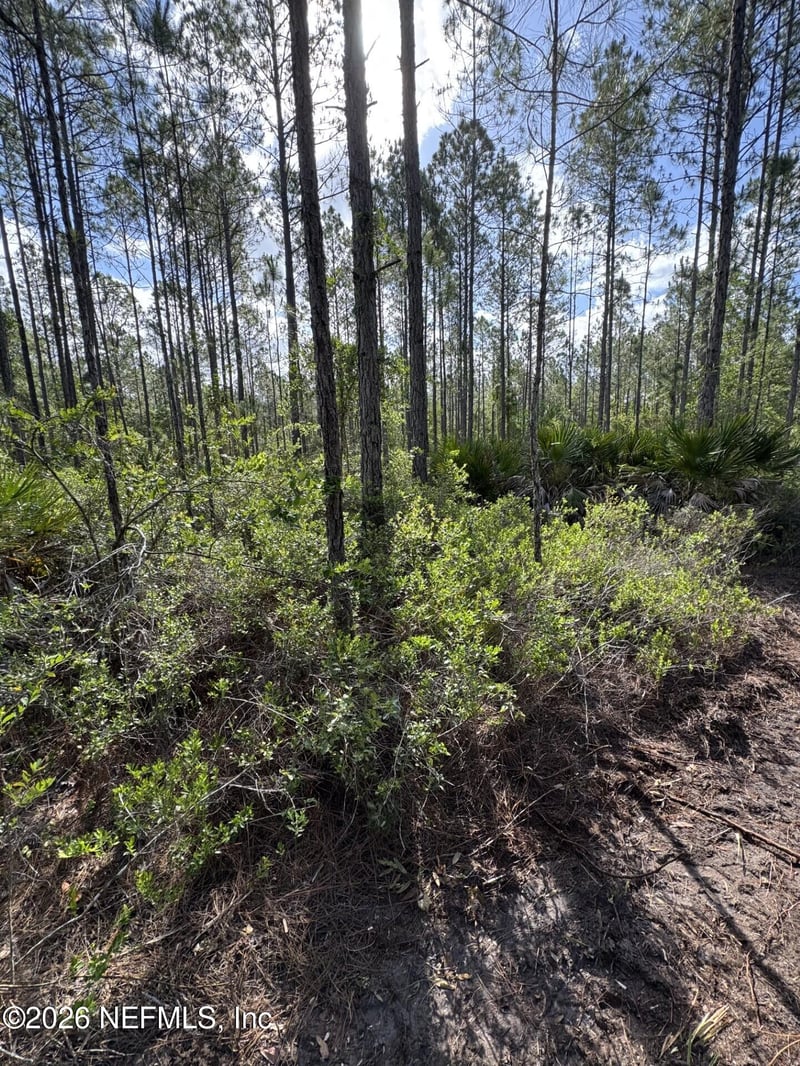 114 Womp Ln, Palatka, FL 32177