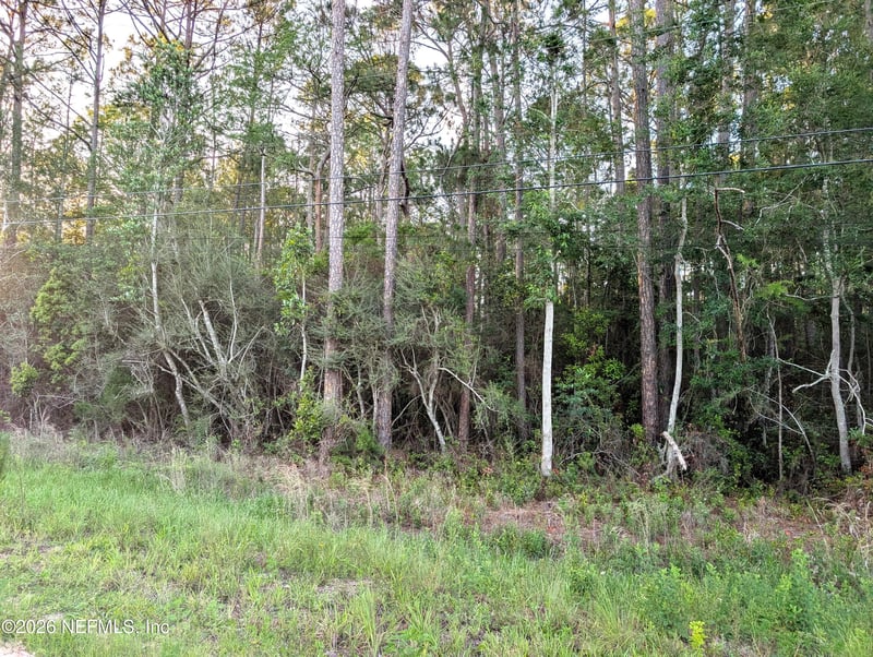 4818 Acacia St, Middleburg, FL 32068