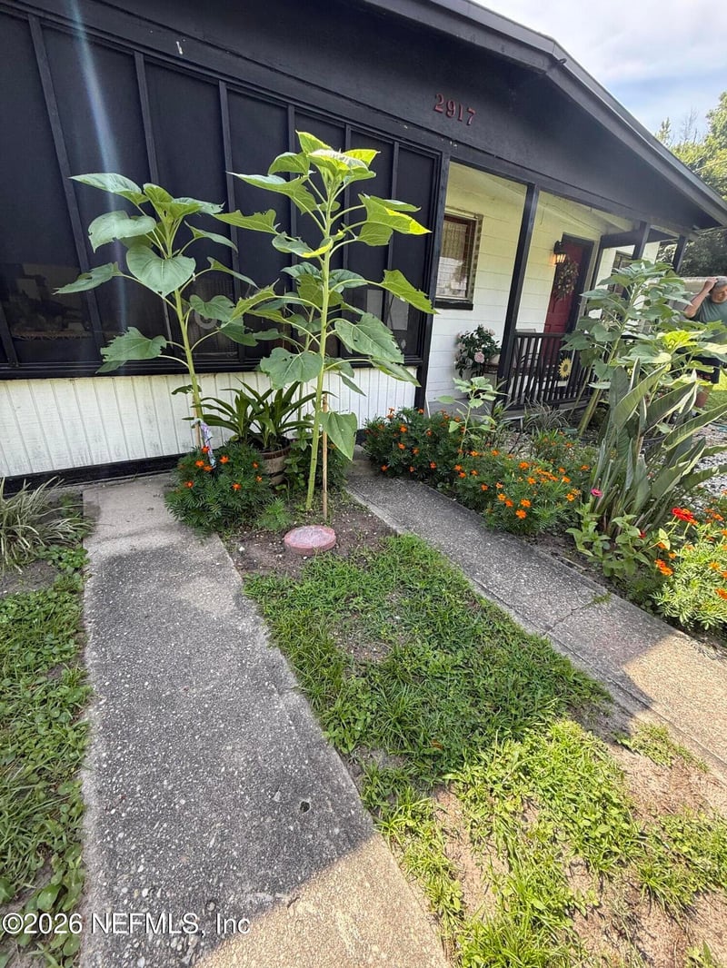 2917 Parr Ct, Jacksonville, FL 32216