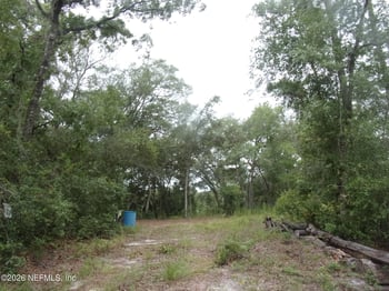 164 Lake Cir, Satsuma, FL 32189