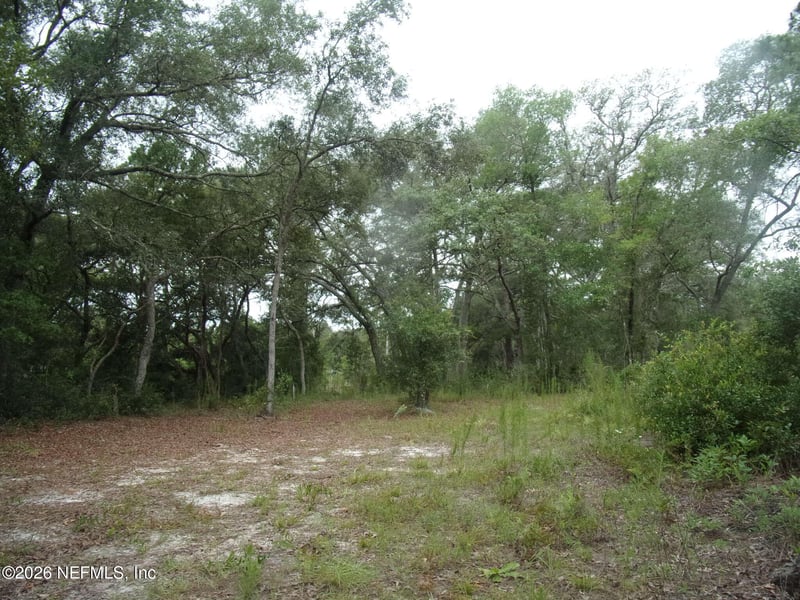 164 Lake Cir, Satsuma, FL 32189