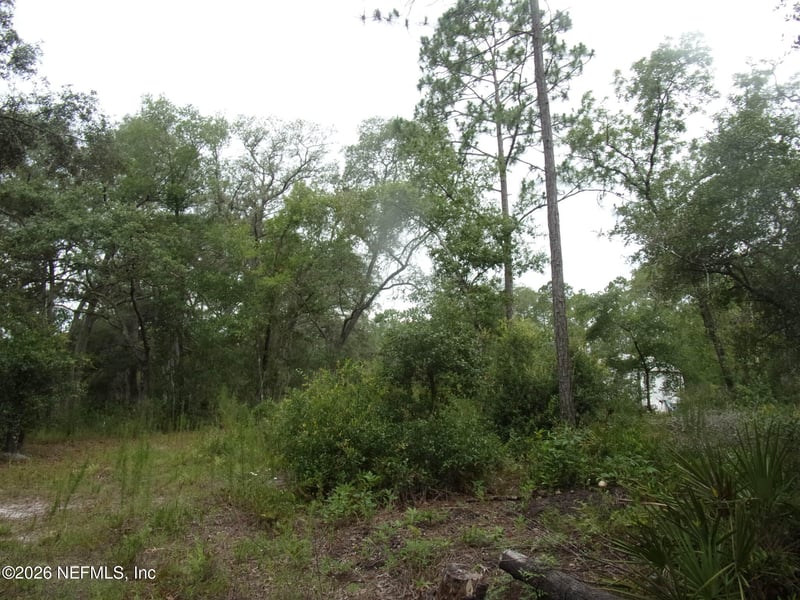 164 Lake Cir, Satsuma, FL 32189