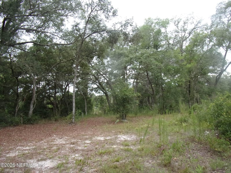 164 Lake Cir, Satsuma, FL 32189