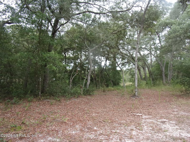164 Lake Cir, Satsuma, FL 32189