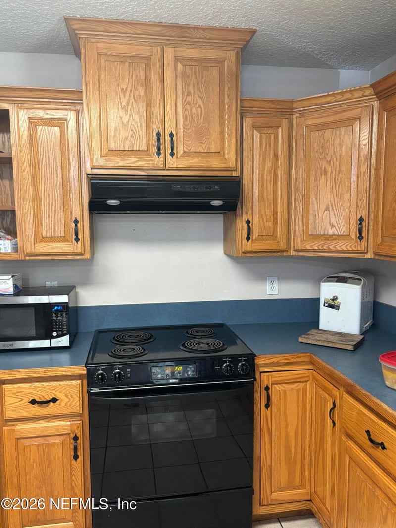 25 Currant Ave, Middleburg, FL 32068