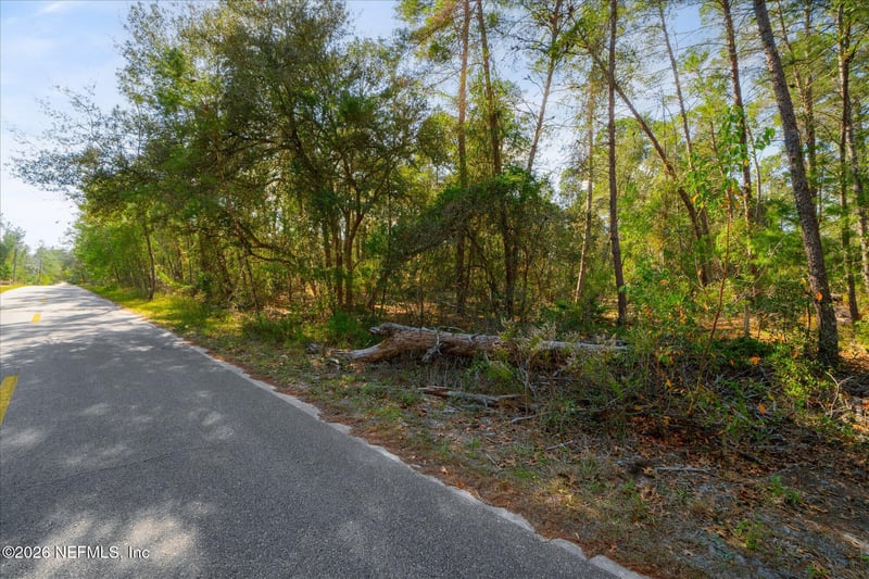 1027 Pineapple St, Welaka, FL 32181