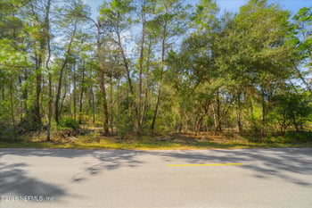 1027 Pineapple St, Welaka, FL 32181