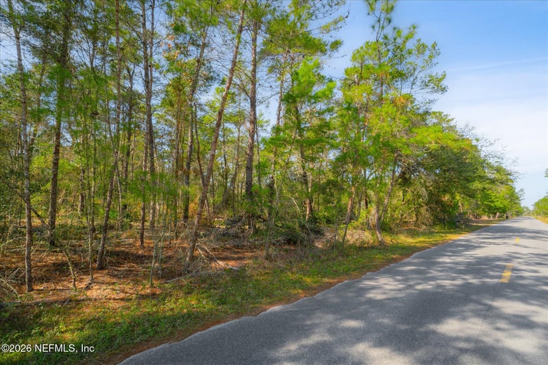 1027 Pineapple St, Welaka, FL 32181