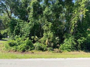 115 Harris St, Palatka, FL 32177