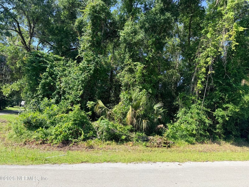 115 Harris St, Palatka, FL 32177