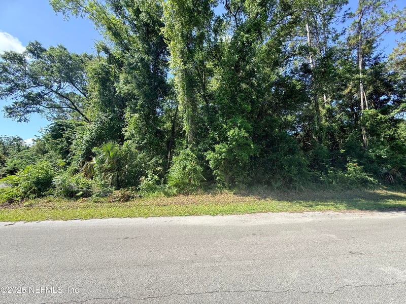 115 Harris St, Palatka, FL 32177