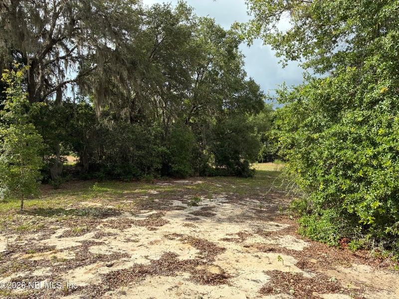 0220 Chesser Monroe Rd, Interlachen, FL 32148