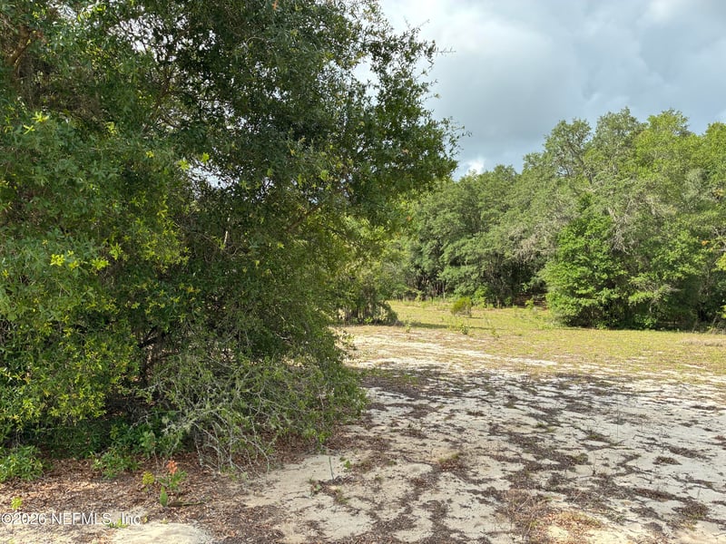0220 Chesser Monroe Rd, Interlachen, FL 32148