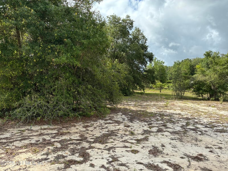 0220 Chesser Monroe Rd, Interlachen, FL 32148