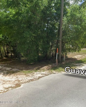 202 Guava Ave, Pomona Park, FL 32181