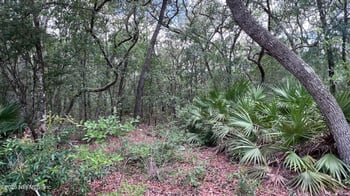 1107 Usina Ave, Interlachen, FL 32148