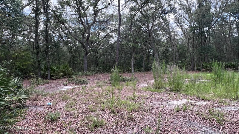1107 Usina Ave, Interlachen, FL 32148