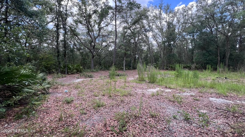 1107 Usina Ave, Interlachen, FL 32148