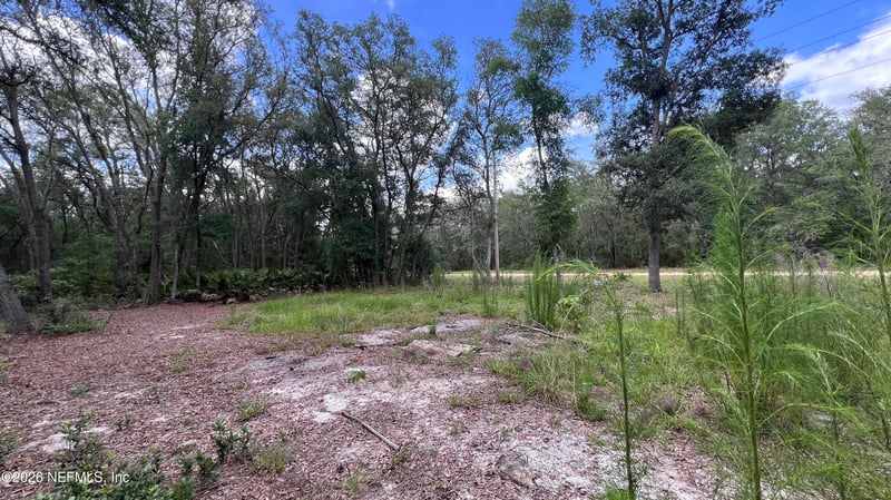 1107 Usina Ave, Interlachen, FL 32148