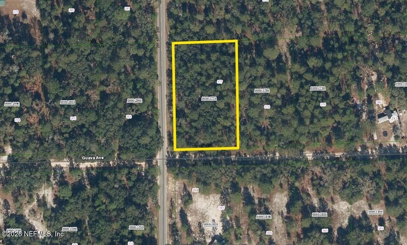 202 Guava Ave, Pomona Park, FL 32181