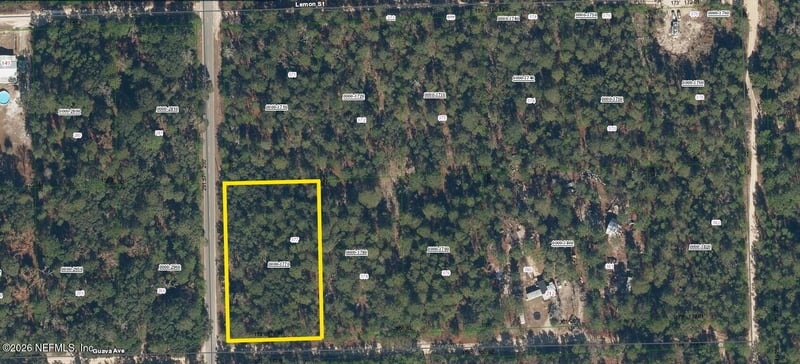 202 Guava Ave, Pomona Park, FL 32181