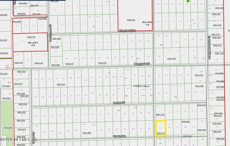 202 Guava Ave, Pomona Park, FL 32181
