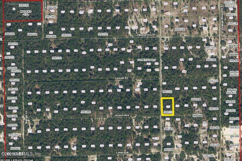 202 Guava Ave, Pomona Park, FL 32181