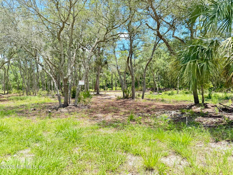 438 Chamberlain Rd, Satsuma, FL 32189