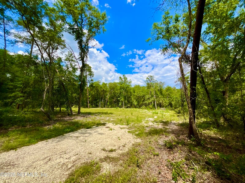 952 Co Rd 21, Hawthorne, FL 32640